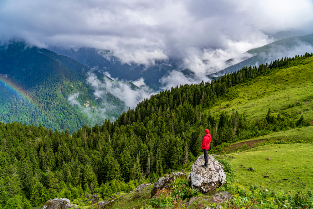 Karadeniz Yaylalar Ve Batum Turu 